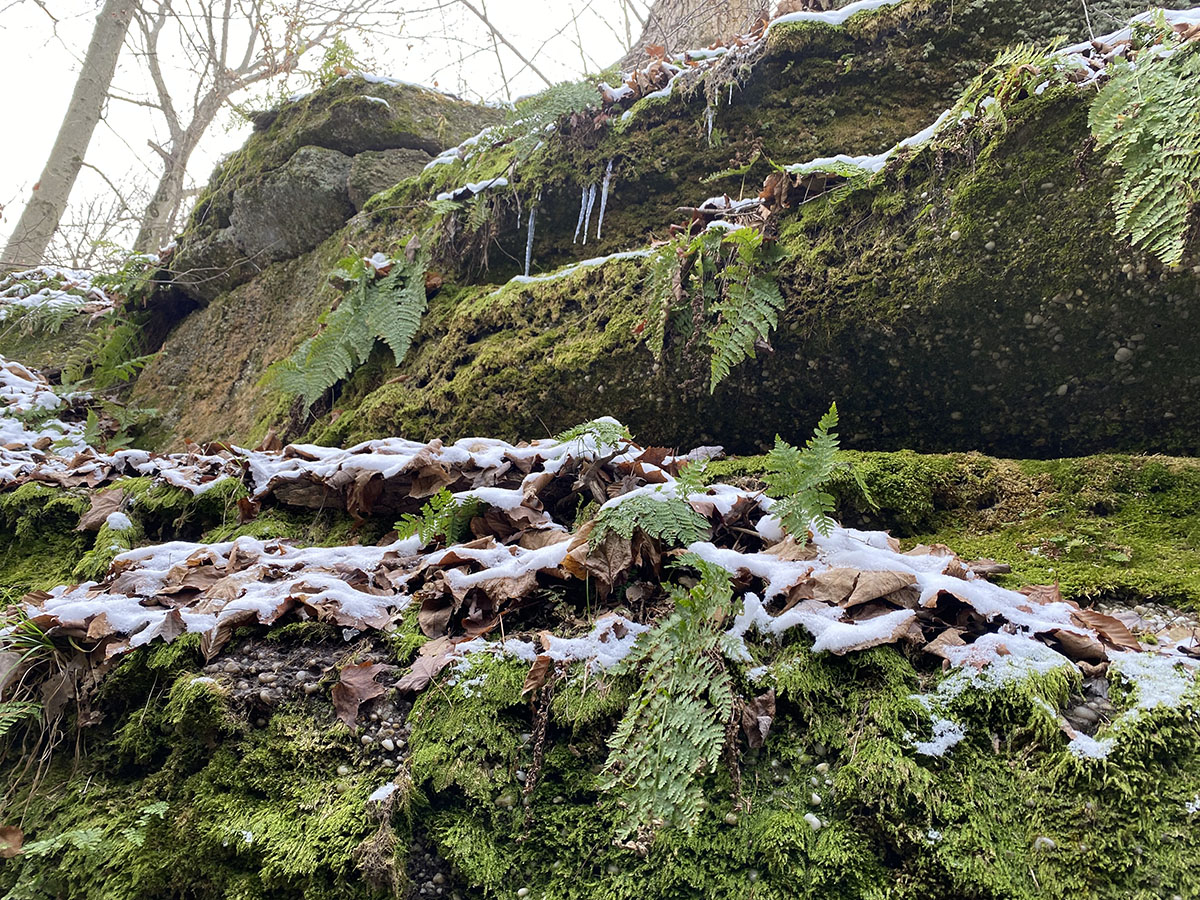 Nelson-Kennedy Ledges State Park