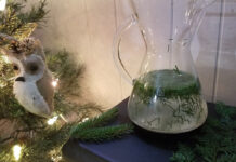 How to brew pine needle tea Pine needle tea