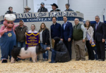 2023 Pennsylvania Farm Show Sale of Champions Grand Champion Swine
