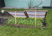 How to build a cold frame for early spring gardening cold frame