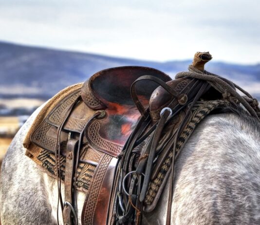 Part four: The water game is different for Western farmers saddle on a horse