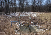 a well head sits in a brushy area next to some trees