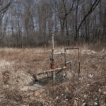 A well head sits in a brushy area next to some trees