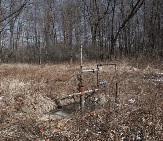 A well head sits in a brushy area next to some trees