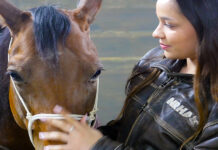 a young woman looks at her horse as she bridles him