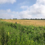 134 acres of Ohio farmland added to Farmland Preservation Program Fackler Farm