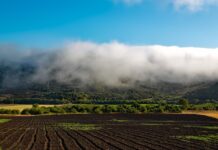 Mother Nature dictates how we can farm California farm