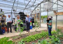 New USDA grant program to boost ways to get organic products to market three people in business casual wear stand in a greenhouse talking to a woman in a floppy hat