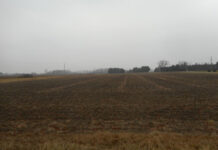 Fulton County farm
