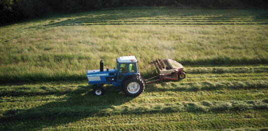 Are you ready for hay season? 5 essentials for a successful first cutting a blue tractor moves across a field of green, mowing hay