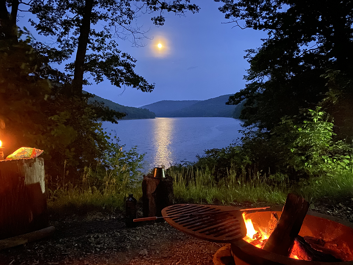 Allegheny National Forest