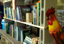 Is education still Worth It? Exploring pathways to success Books on horticulture