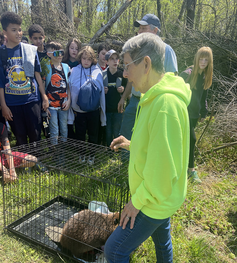 The Beaver's Keystone Activities – Mousam Way Land Trust