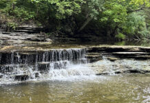 Caesar Creek features fossils and fishing Caesar Creek