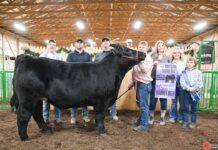 2023 Harrison County Fair sale results