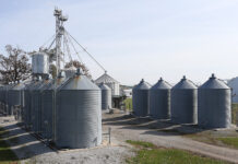 Injuries, fatalities from agricultural confined space incidents increased last year: report grain bins