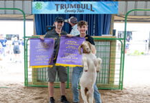 2023 Trumbull County Junior Fair Sale results
