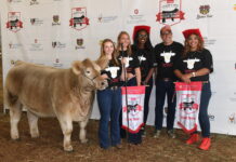 Charity steer show raises $172,000 for Ronald McDonald House charity steer