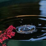 Geauga SWCD holds rain barrel auction rain barrel