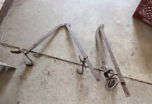 Can you help us solve the mystery behind Item No. 1255? Item No. 1255