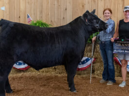 Grand Champion Market Beef 2023