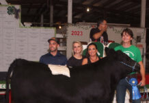 2023 Cuyahoga County Fair sale Grand Champion Steer