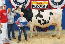 2023 Canfield Fair Sale results