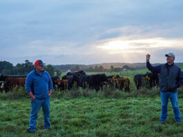 A resolution worth making: Work with your local SWCD Todd Miller and Pete Conkle