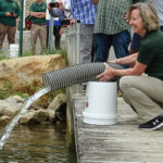 More than 2,000 muskies stocked in Piedmont Lake mertz