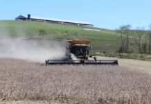 Farmers are holding a bad hand in a rigged game soybean harvest
