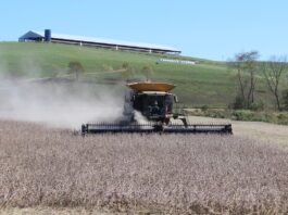 Skyrocketing fuel and fertilizer costs leave crop farmers unable to break even soybean harvest