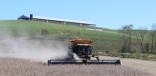 Skyrocketing fuel and fertilizer costs leave crop farmers unable to break even soybean harvest