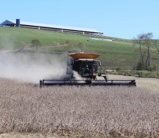 Skyrocketing fuel and fertilizer costs leave crop farmers unable to break even soybean harvest