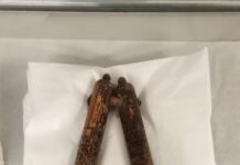 Can you help us identify Item No. 1258? item 1258