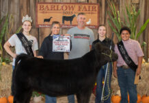 2023 Barlow Independent Fair Sale results