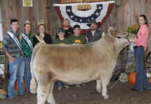 2023 Guernsey County Fair Sale results