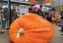 New Ohio state record set by Atwater man for giant pumpkin giant pumpkin 2023