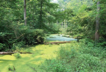 ODNR dedicates scenic river area along Ashtabula State Scenic River William “Bud” Hill Scenic River Access Area