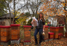 Bees hives in Pittsburgh produce lanternfly honey