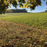 Ohio preserves 29 farms in 2023 Felumlee Farm