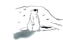 The whistlepig has spoken! groundhog sketch