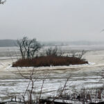 ODNR building islands for H2Ohio project island