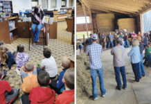 Darke County cattlemen think outside box to promote beef industry cattlemen