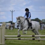 Entry for Chagrin Hunter Jumper Classic opens May 1 horse jumping