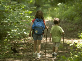 Let them fail to help them grow: How to build resilience in kids this summer hiking kids