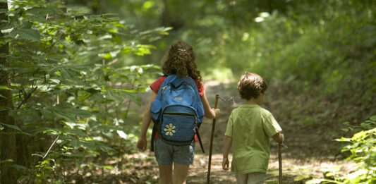 Let them fail to help them grow: How to build resilience in kids this summer hiking kids