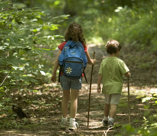 Let them fail to help them grow: How to build resilience in kids this summer hiking kids