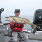 Lake Erie anglers find success in Fish Ohio program Lake Erie Walleye