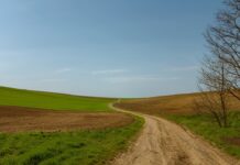 Building a dirt road on a budget dirt road