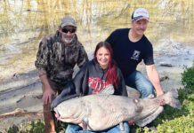 Big blue sets the record by a whisker Ohio Record Blue Catfish